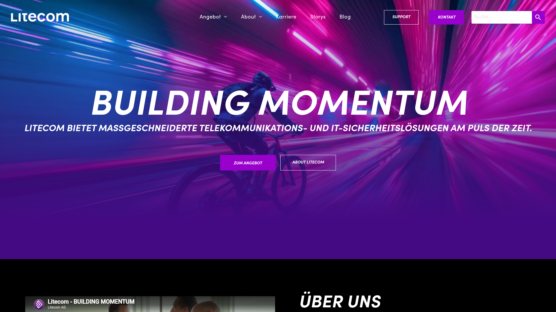 Website von Litecom AG