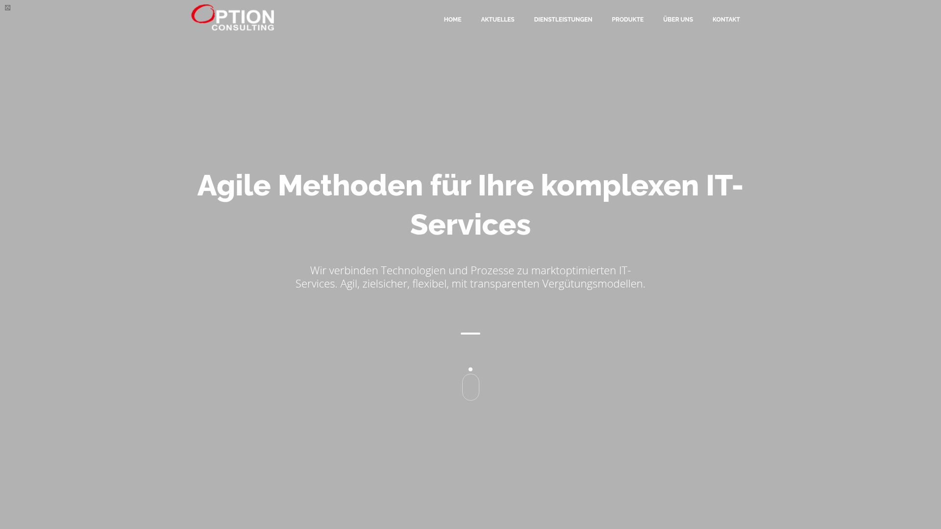 Website of Option Consulting GmbH